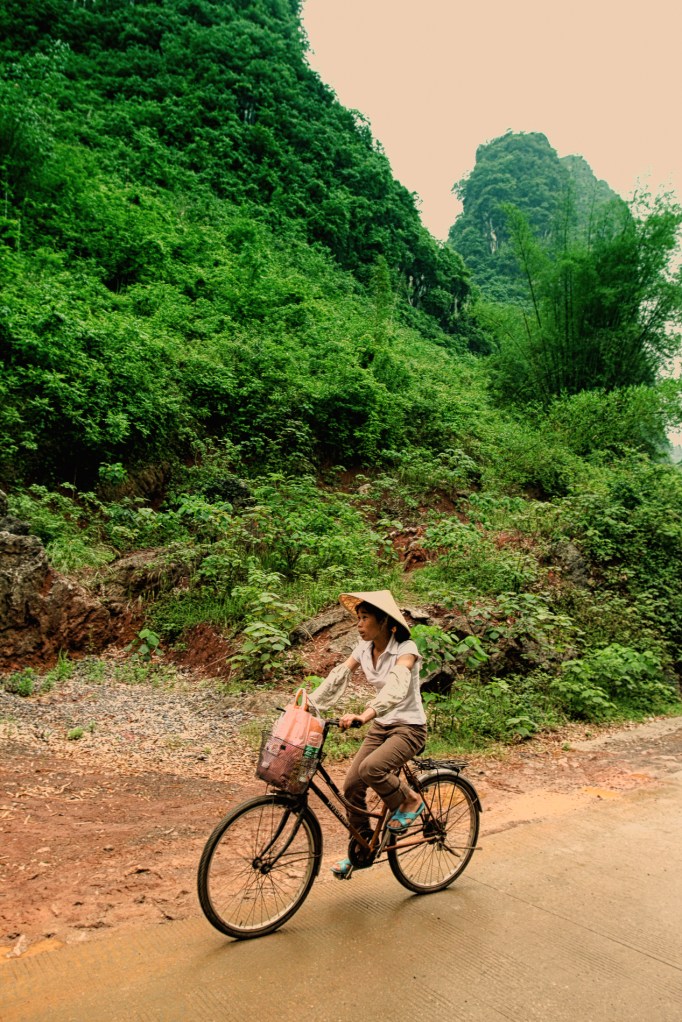 riding in a green world