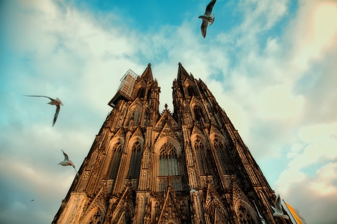 birds circling Cologne Cathedral~ Germany