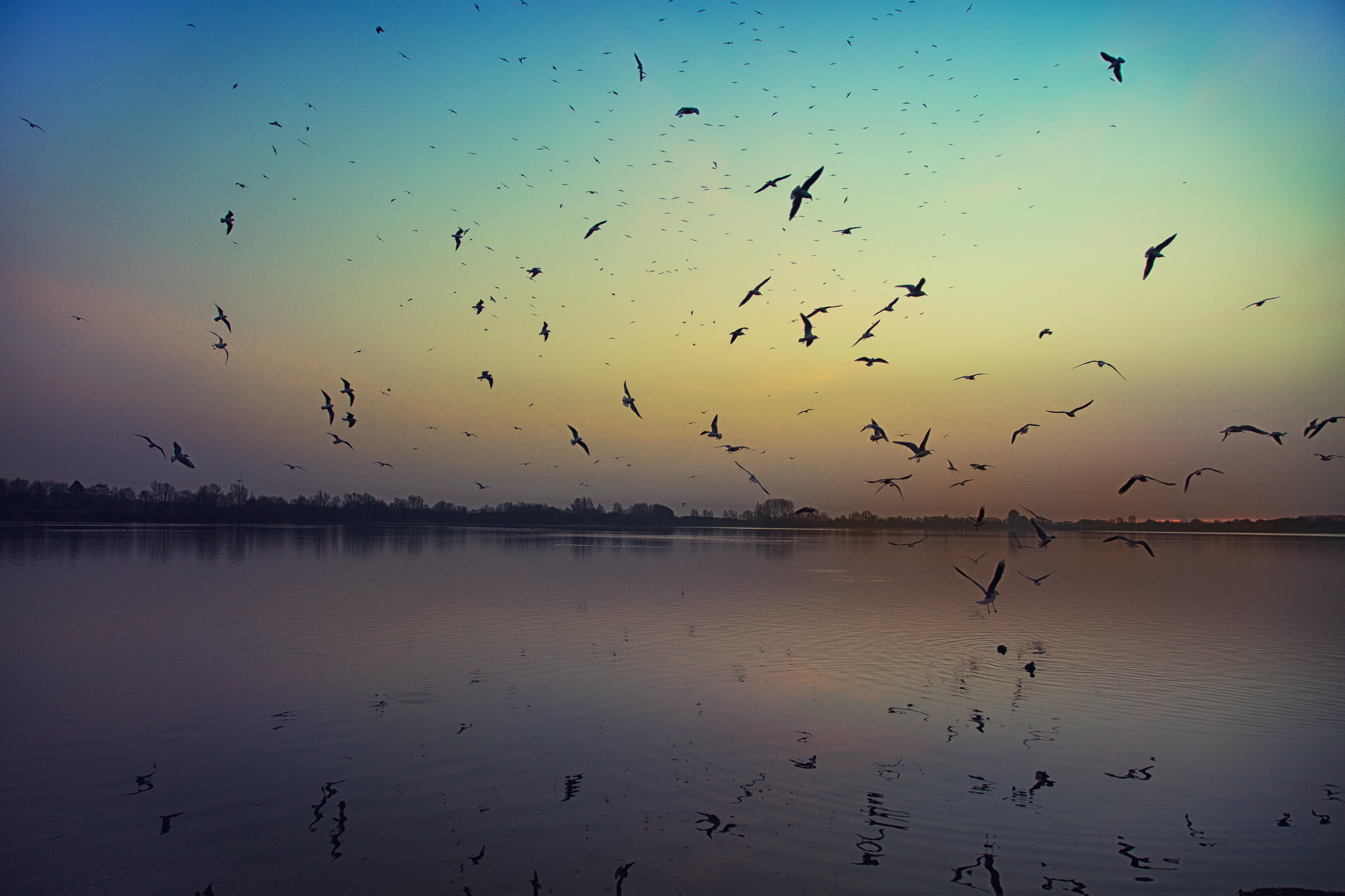 call of the wild~ Germany