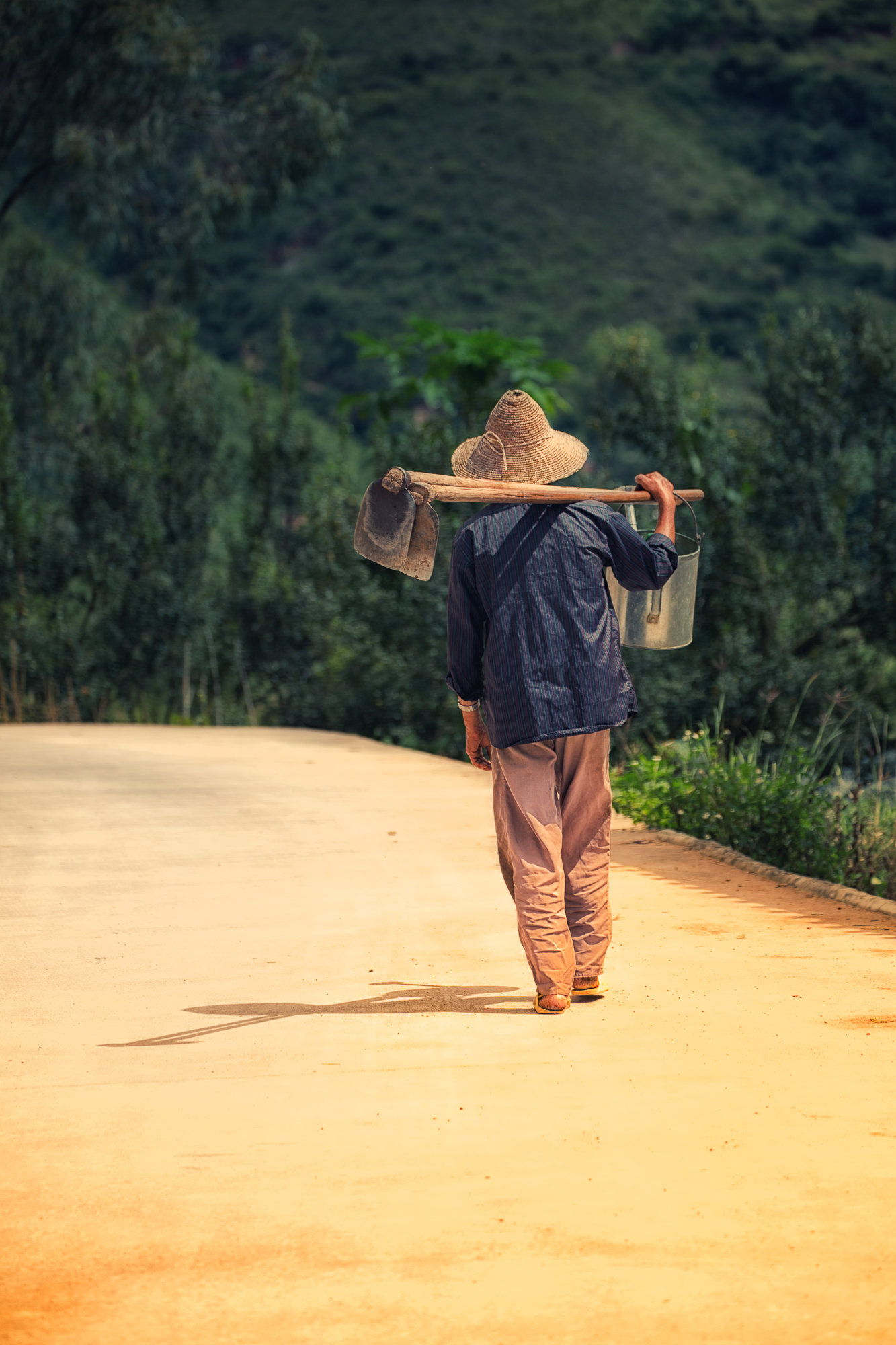 field of dreams~ Yunnan