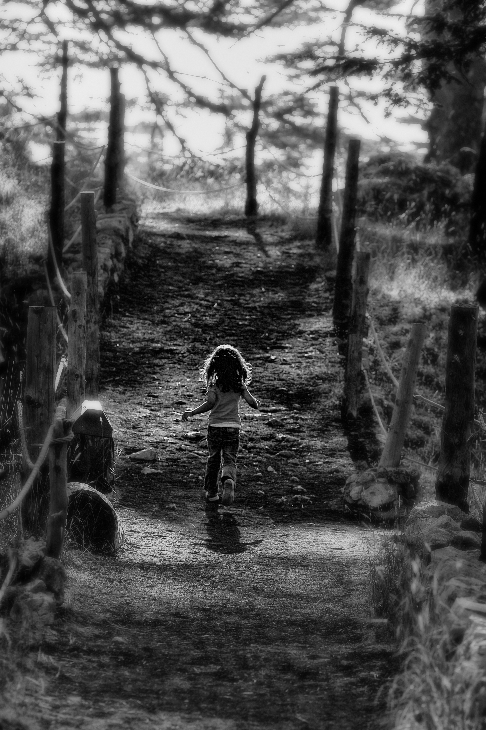in distant dreams~_