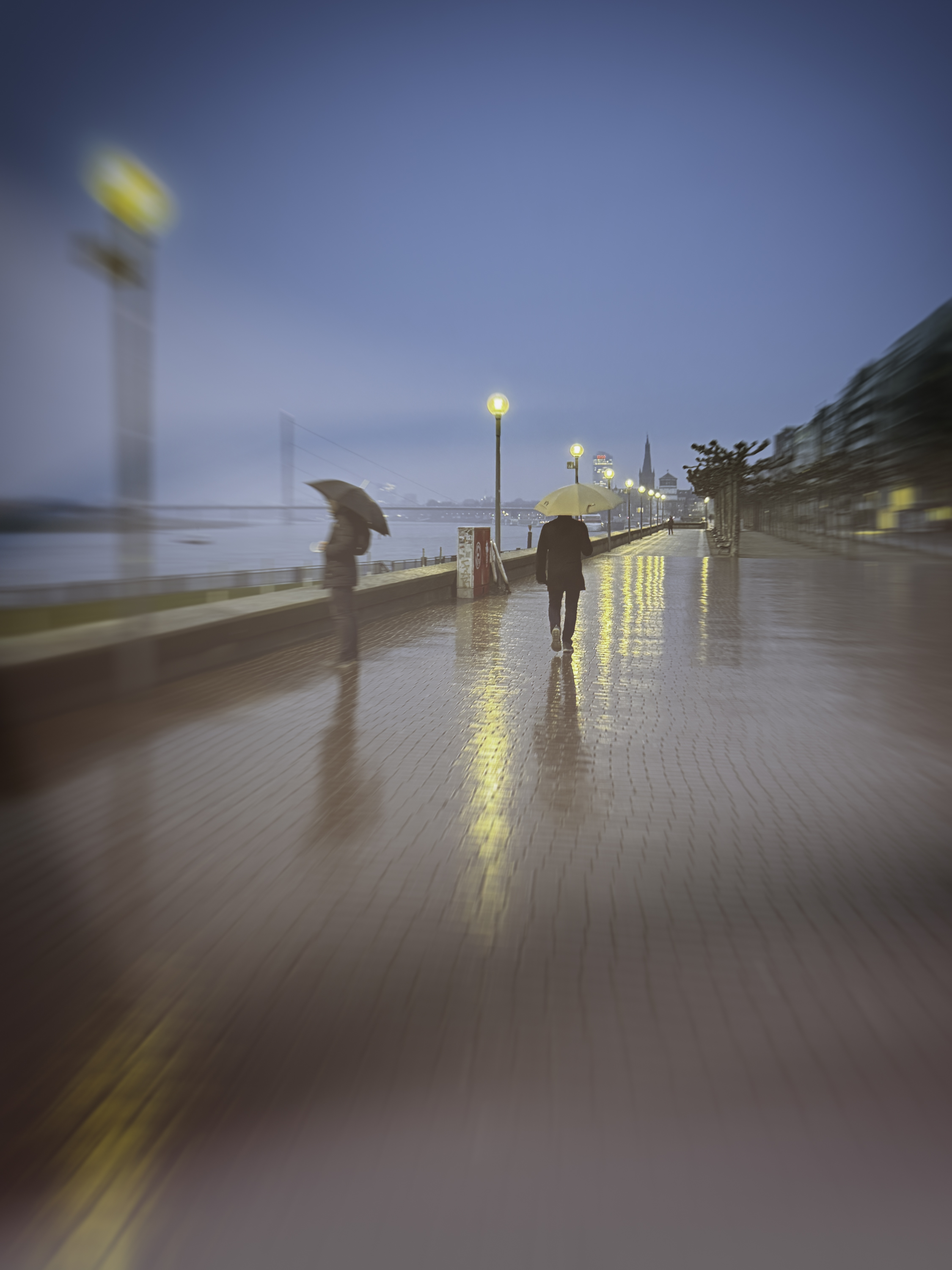 A Love Letter to the Rain